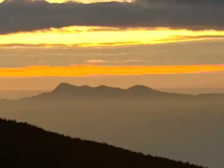 東花童子の景色