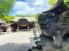 菊田神社の狛犬