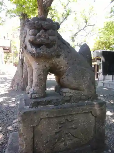 手稲神社の狛犬