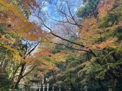 香取神宮(千葉県)