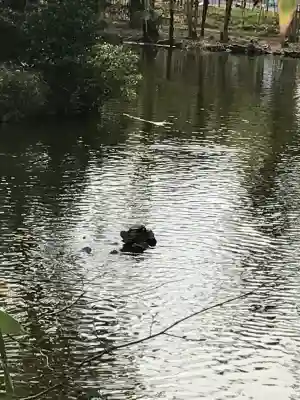 武蔵一宮氷川神社の{uncategorized: "未分類", other: "その他", undefined: "問題あり", building: "その他建物", grave: "お墓", sacred_gate: "鳥居", guardian: "狛犬", statue: "像", buddha: "仏像", history: "歴史", nature: "自然", garden: "庭園", animal: "動物", pagoda: "塔", temizu: "手水舎", mountain_gate: "山門・神門", sanctuary: "本殿・本堂", subordinate: "末社・摂社", art: "芸術", scenery: "景色", jizo: "地蔵", ema: "絵馬", goshuin: "御朱印", omikuji: "おみくじ", items: "授与品その他", amulet: "お守り", goshuincho: "御朱印帳", eats: "食事", festival: "お祭り", votive_dance: "神楽", shichigosan: "七五三参", wedding: "結婚式", experience: "体験その他", initially: "初詣", around: "周辺", anti_infection: "感染症対策"}