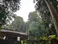 大宮温泉神社(栃木県)