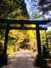 赤坂氷川神社(東京都)