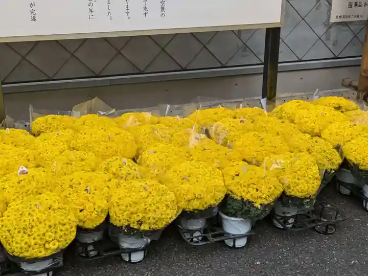 眞性寺(東京都)