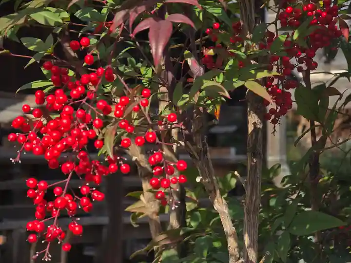 隆専寺(大阪府)