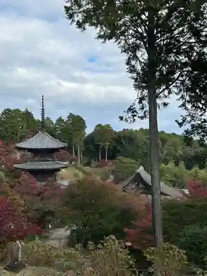 常樂寺(滋賀県)