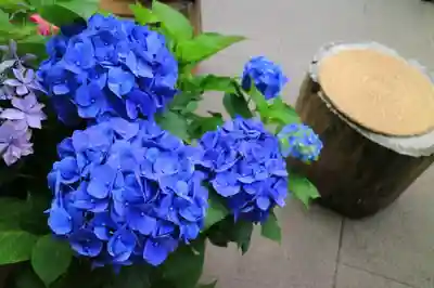 東京大神宮のその他建物