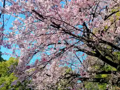 花園稲荷神社(東京都)
