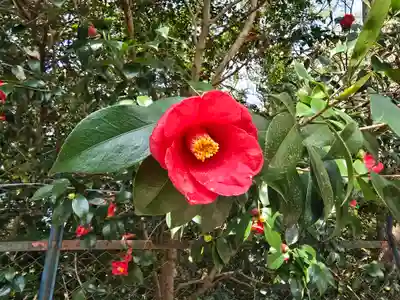 西宮神社(兵庫県)