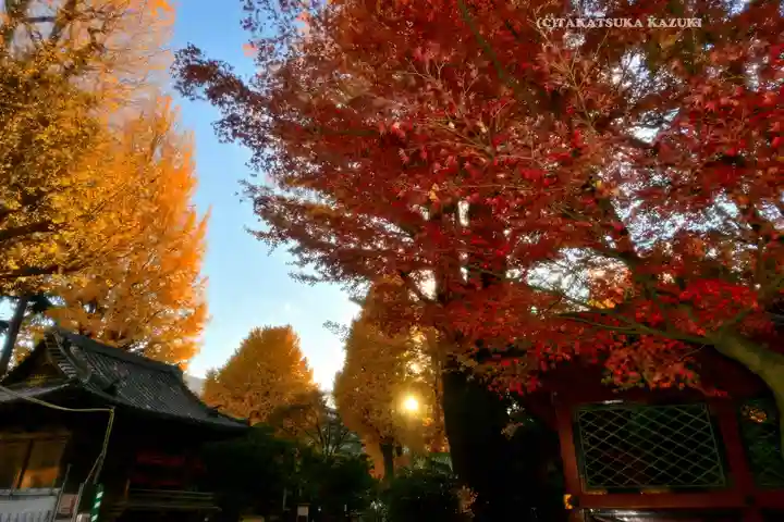 根津神社(東京都)