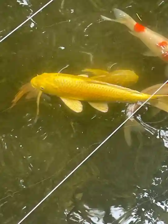 八剱八幡神社(千葉県)
