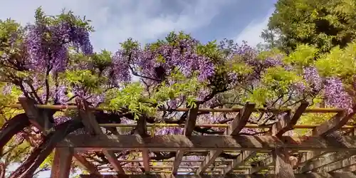 稲荷神社(東京都)