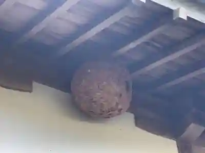 日宣寺のその他建物