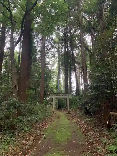 日吉神社の鳥居