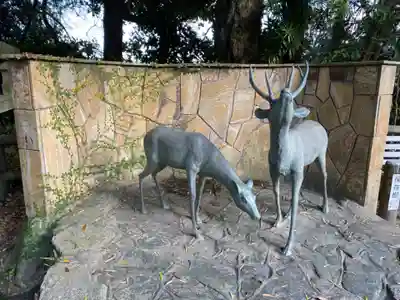 志賀海神社の狛犬