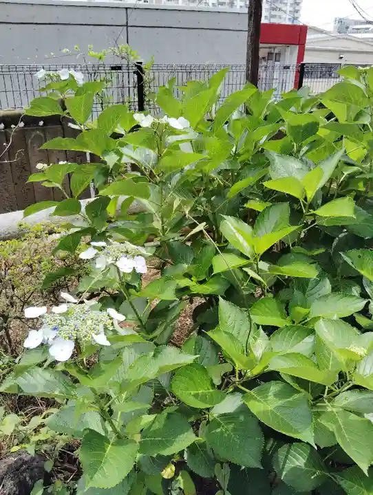 東山稲荷神社(東京都)