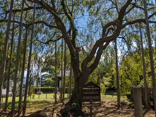 足羽神社(福井県)