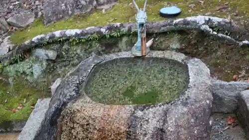 真龍寺(大阪府)