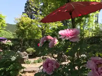 宝徳寺(群馬県)