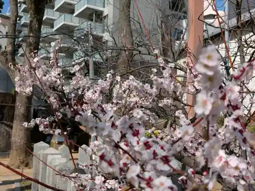生田神社の{uncategorized: "未分類", other: "その他", undefined: "問題あり", building: "その他建物", grave: "お墓", sacred_gate: "鳥居", guardian: "狛犬", statue: "像", buddha: "仏像", history: "歴史", nature: "自然", garden: "庭園", animal: "動物", pagoda: "塔", temizu: "手水舎", mountain_gate: "山門・神門", sanctuary: "本殿・本堂", subordinate: "末社・摂社", art: "芸術", scenery: "景色", jizo: "地蔵", ema: "絵馬", goshuin: "御朱印", omikuji: "おみくじ", items: "授与品その他", amulet: "お守り", goshuincho: "御朱印帳", eats: "食事", festival: "お祭り", votive_dance: "神楽", shichigosan: "七五三参", wedding: "結婚式", experience: "体験その他", initially: "初詣", around: "周辺", anti_infection: "感染症対策"}