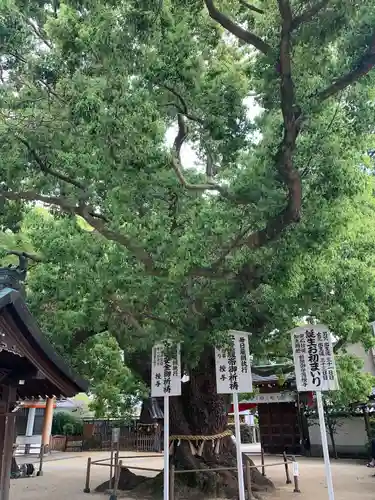 大聖観音寺（あびこ観音）(大阪府)