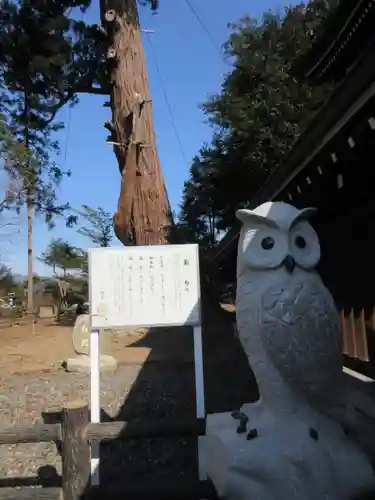 八幡宮の狛犬