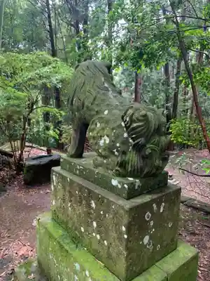 愛宕神社の狛犬