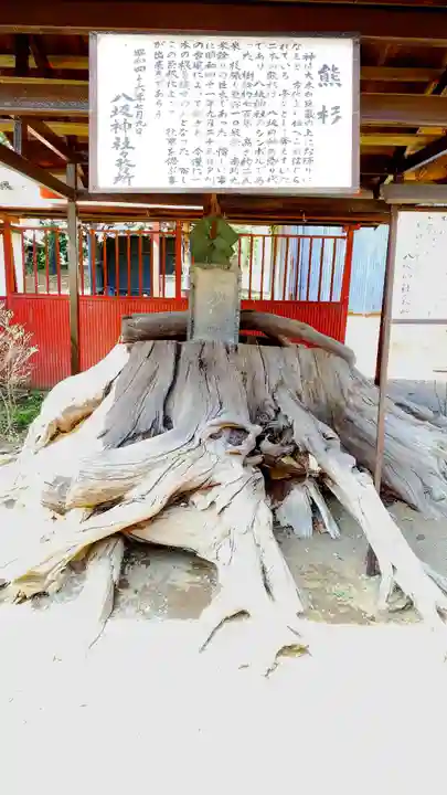 八坂神社の自然
