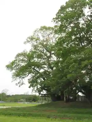 神明神社(千葉県)