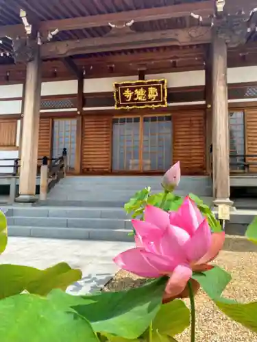 壽徳寺の本殿・本堂