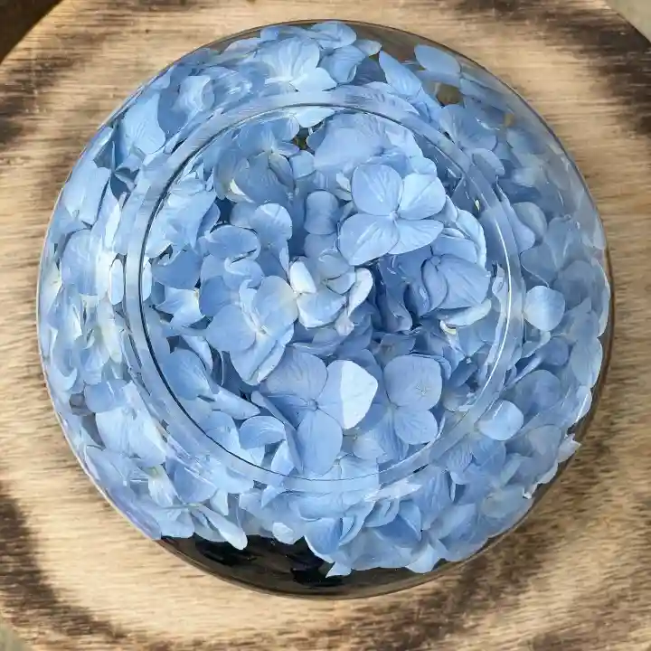 般若寺 ❁コスモス寺❁(奈良県)