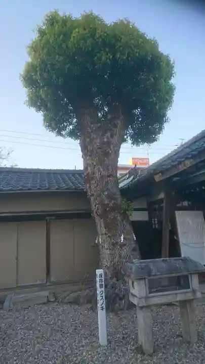 宗像神社の自然