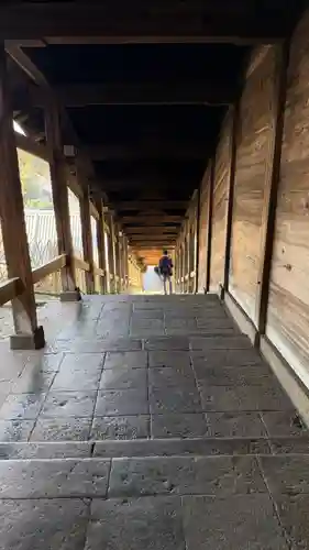 東大寺(奈良県)