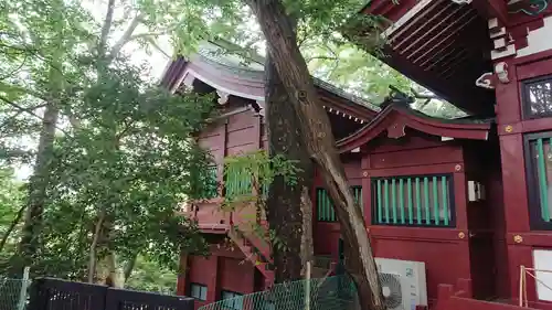 駒繋神社の本殿・本堂