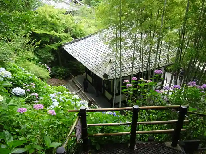 長谷寺(神奈川県)