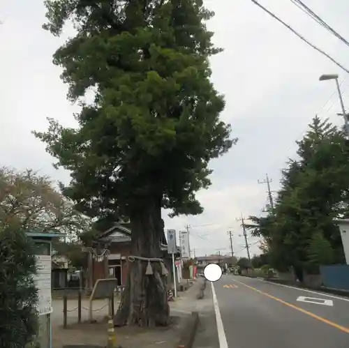 前玉神社(埼玉県)