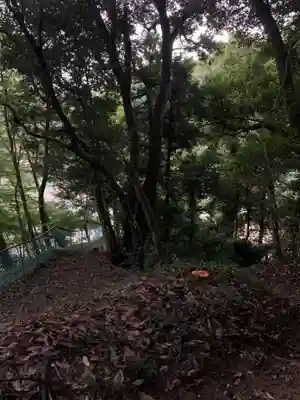 天満宮(千葉県)