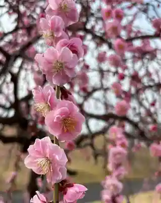 神前神社(岡山県)