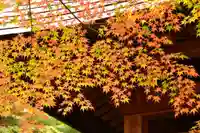 両足寺(山口県)