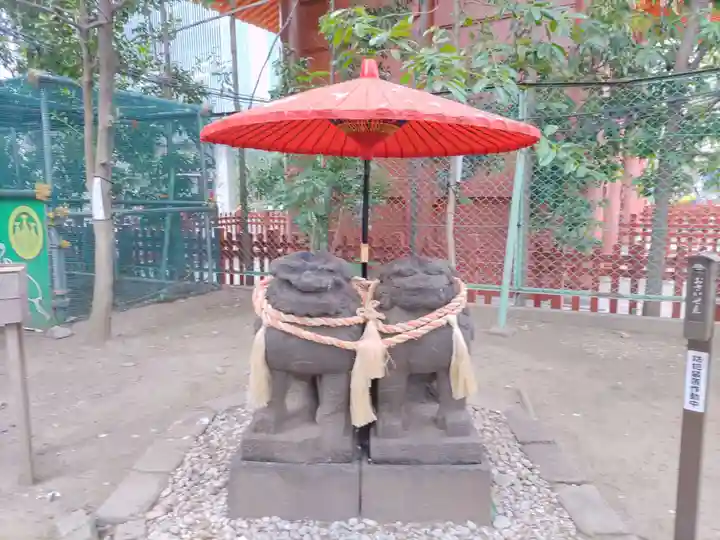 浅草神社の狛犬