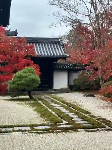 天授庵(京都府)