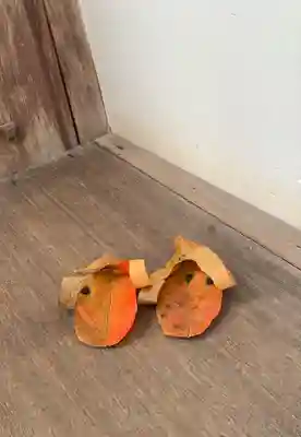 正伝護国禅寺(正伝寺･正傳寺)(京都府)