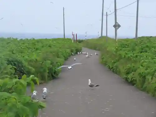 厳島神社(北海道)