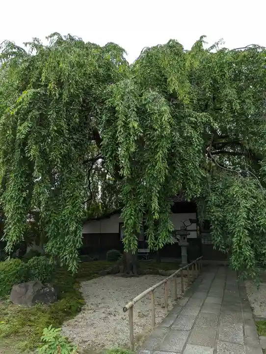 本満寺(本願満足寺)(京都府)