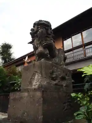 高円寺天祖神社の狛犬