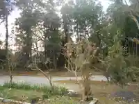 妙伝寺(妙傳寺)の庭園