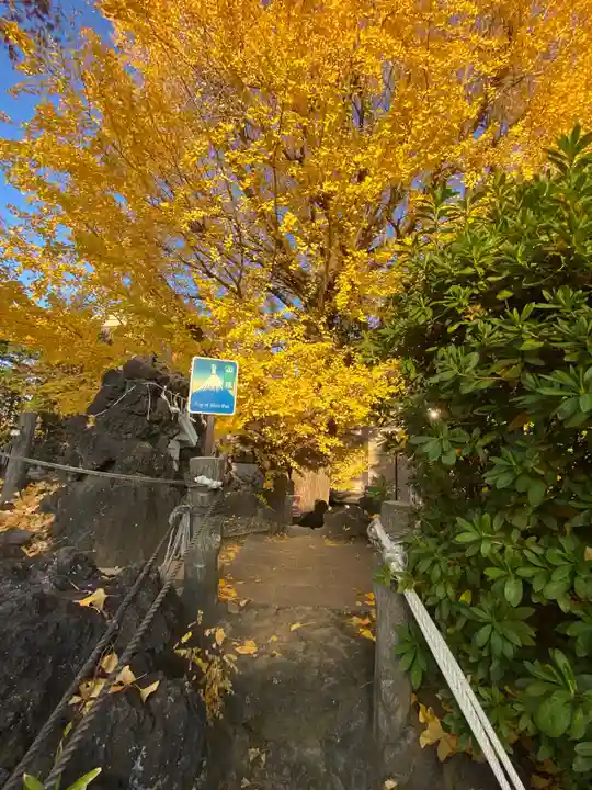 鳩森八幡神社(東京都)