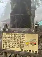 天龍寺(埼玉県)