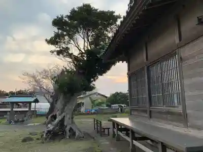 中里八坂神社のその他建物
