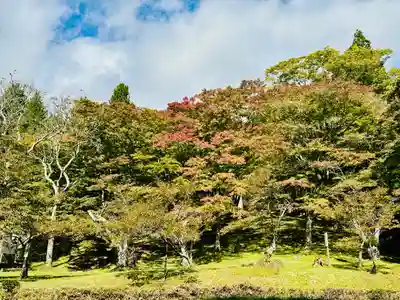 土津神社｜こどもと出世の神さま(福島県)